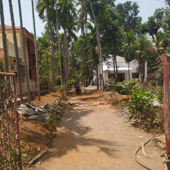 12 Guntha Agricultural/Farm Land for Sale in Alibag, Raigad