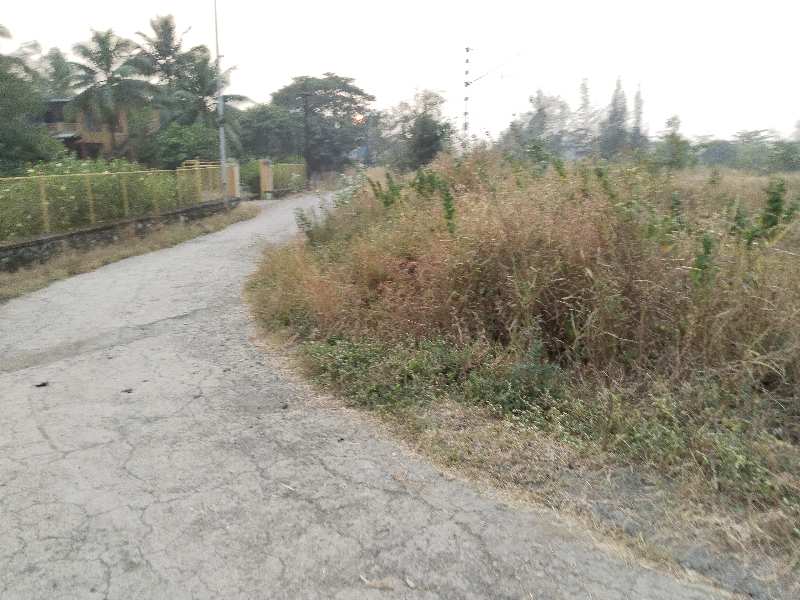 3.5 Acre Residential Plot for Sale in Kihim, Raigad