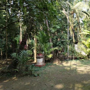 Property for sale in Chaul, Alibag, Raigad