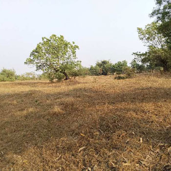 17 Acre Residential Plot for Sale in Roha, Raigad