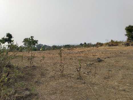 7 Acre Residential Plot for Sale in Roha, Raigad