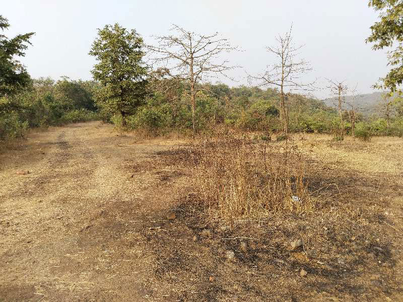 9 Acre Residential Plot for Sale in Roha, Raigad