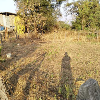 Property for sale in Kihim, Raigad