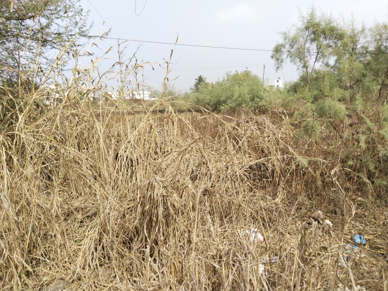 7 Guntha Residential Plot for Sale in Varasoli, Raigad