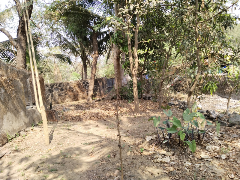 2 BHK Individual Houses / Villas for Sale in Mandwa, Raigad (14 Guntha)