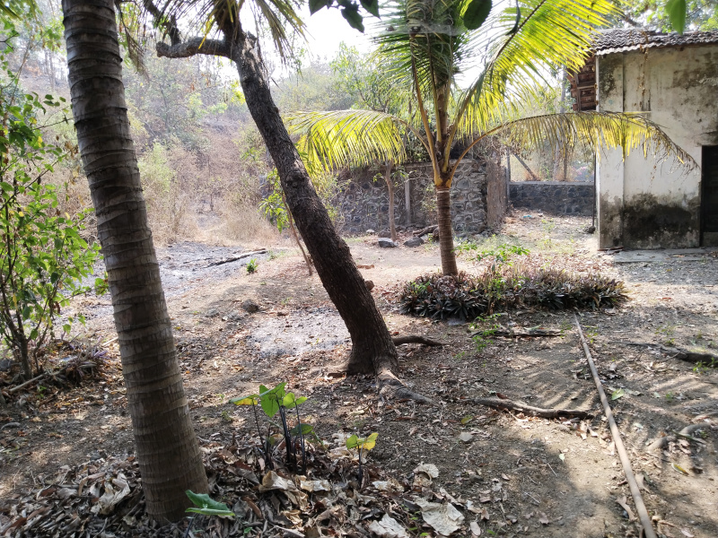 2 BHK Individual Houses / Villas for Sale in Mandwa, Raigad (14 Guntha)