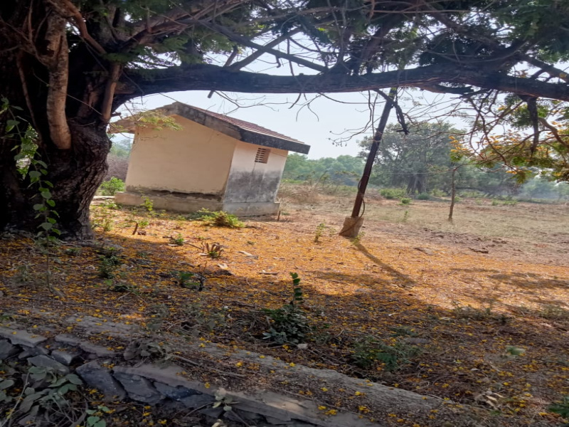 25 Acre Residential Plot for Sale in Kihim, Raigad