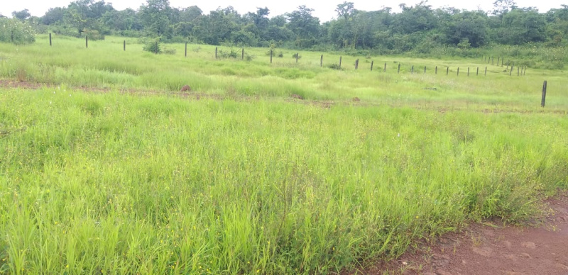 200 Acre Residential Plot for Sale in Mangaon, Raigad