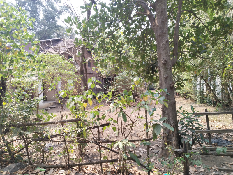 1 BHK Individual Houses / Villas for Sale in Revdanda, Raigad (7 Guntha)