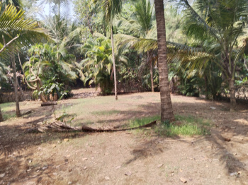 Property for sale in Kihim, Raigad