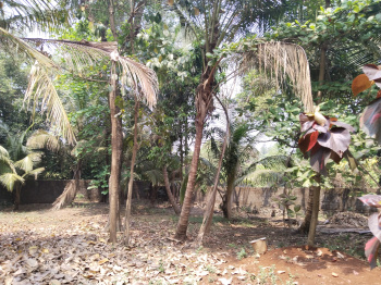 Property for sale in Kihim, Raigad