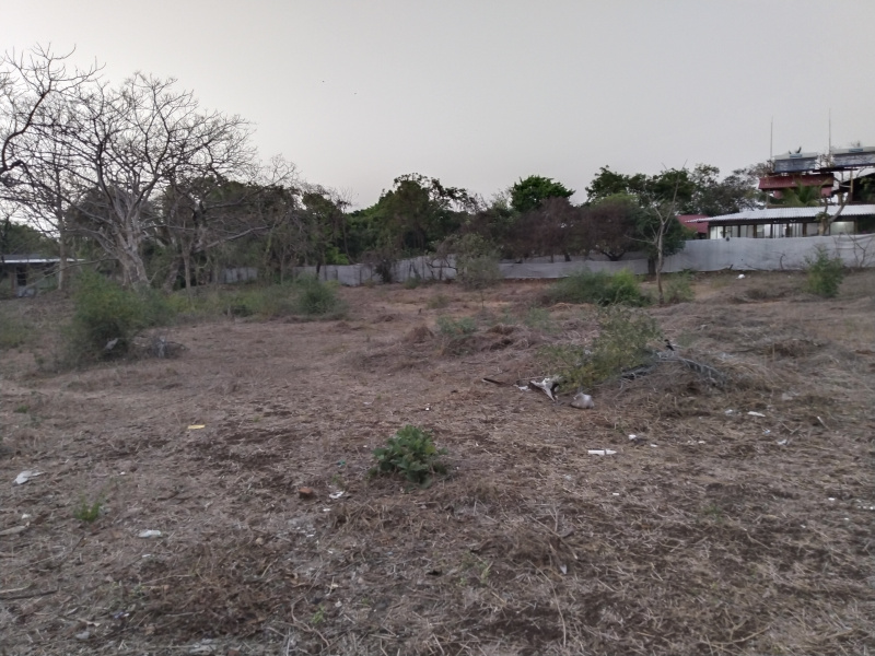47 Guntha Residential Plot for Sale in Kihim, Raigad