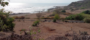 Property for sale in Shrivardhan, Raigad