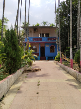 3 BHK Individual Houses / Villas for Sale in Nagaon, Raigad (7 Guntha)