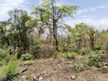 Property for sale in Murud, Raigad