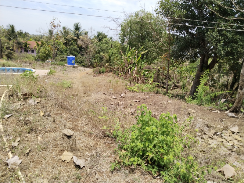 2.5 Acre Residential Plot for Sale in Murud, Raigad