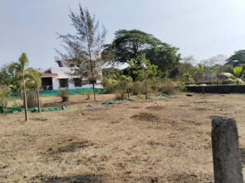 Property for sale in Kihim, Raigad