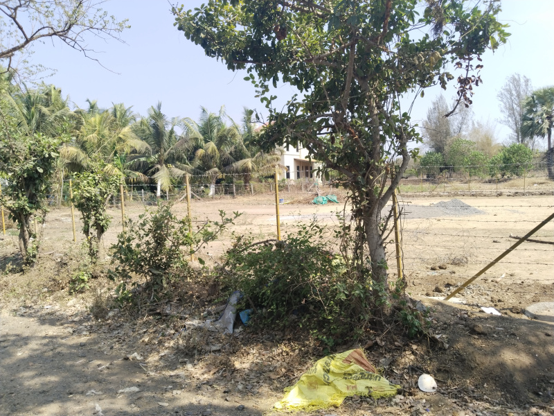 16 Guntha Residential Plot for Sale in Agarsure, Raigad