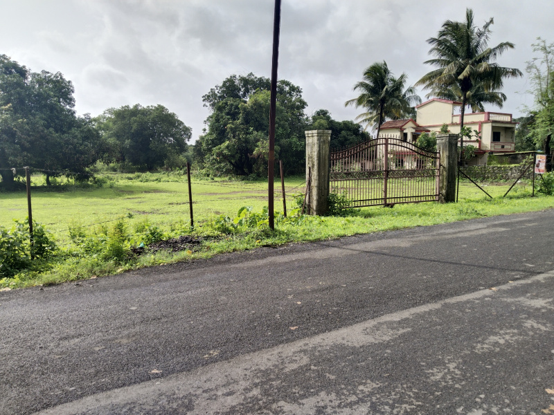 5 Acre Residential Plot for Sale in Mandwa, Raigad