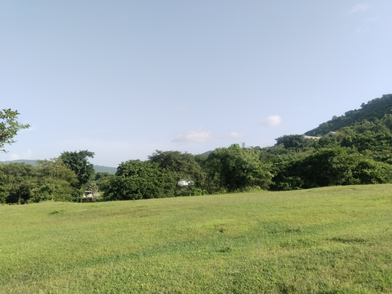 16 Acre Residential Plot for Sale in Raigad