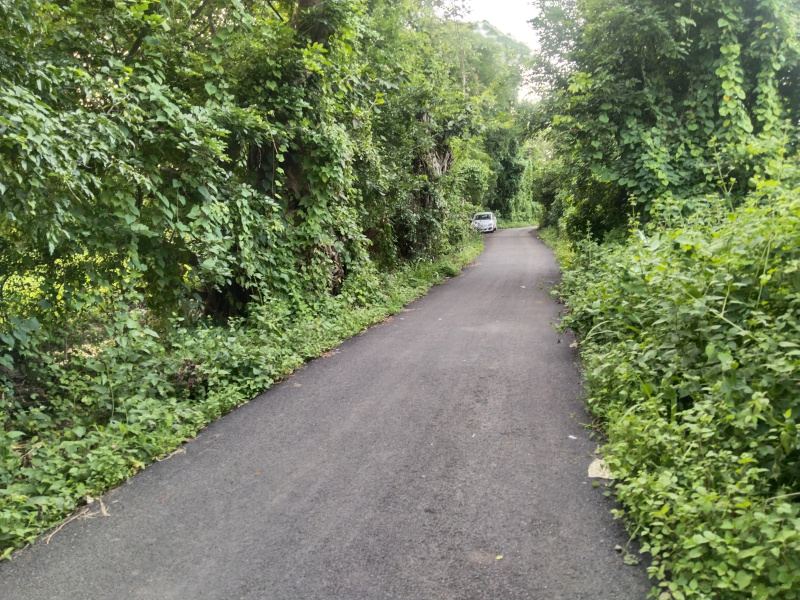 3.5 Acre Residential Plot for Sale in Mandwa, Raigad