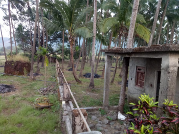 Residential Plot for Sale in Murud, Raigad (81 Guntha)