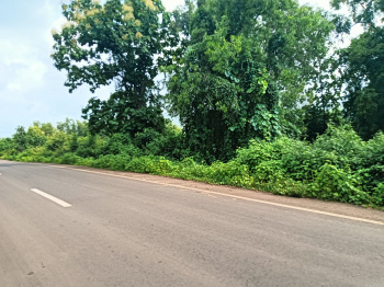 Residential Plot for Sale in Roha, Raigad (20 Guntha)