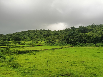 Residential Plot for Sale in Roha, Raigad (7 Acre)