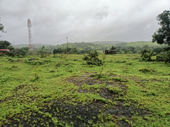 Residential Plot for Sale in Roha, Raigad (13.5 Acre)