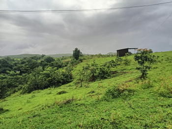 Property for sale in Roha, Raigad