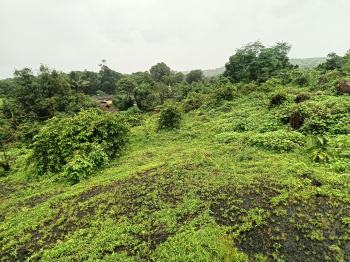 Property for sale in Roha, Raigad