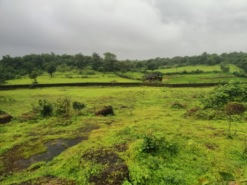 Property for sale in Roha, Raigad