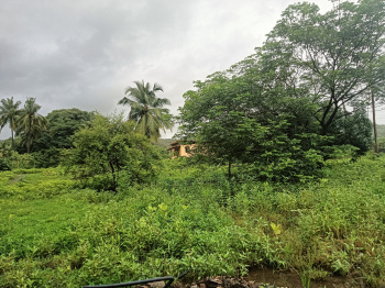 Residential Plot for Sale in Kashid, Raigad (2 Acre)