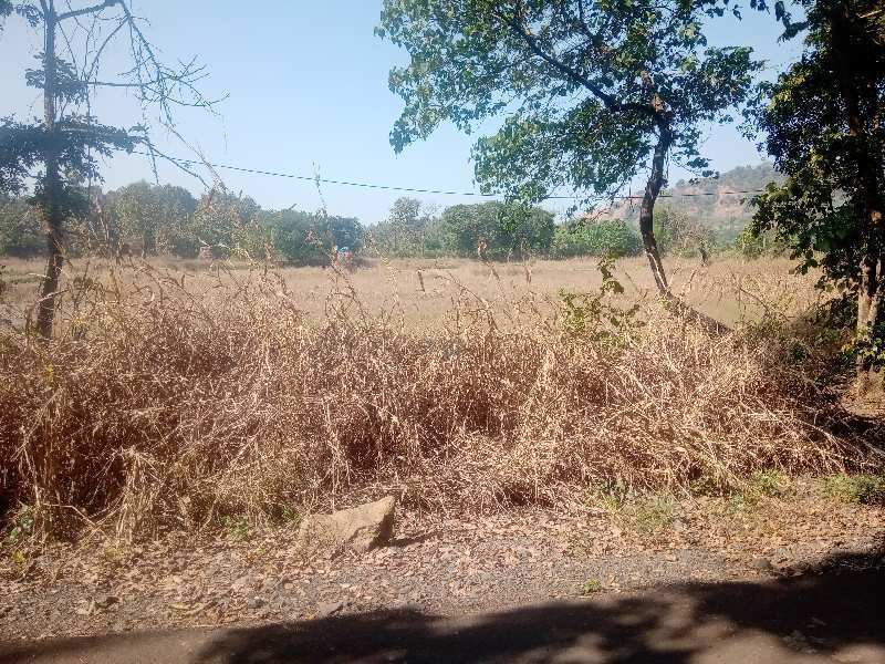 Residential Plot for Sale in Nagaon, Raigad (20000 Sq.ft.)