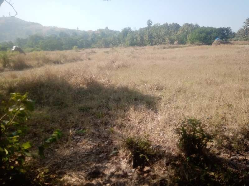 Residential Plot for Sale in Nagaon, Raigad (20000 Sq.ft.)