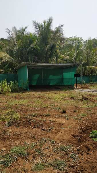 Residential Plot for Sale in Nagaon, Raigad (6000 Sq.ft.)