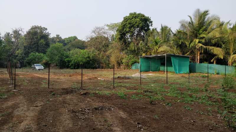 Residential Plot for Sale in Nagaon, Raigad (6000 Sq.ft.)