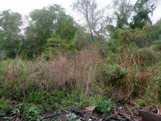 Residential Plot for Sale in Nagaon, Raigad (6500 Sq.ft.)