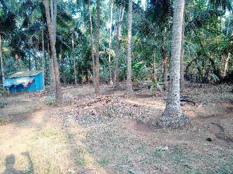 Property for sale in Revdanda, Alibag, Raigad