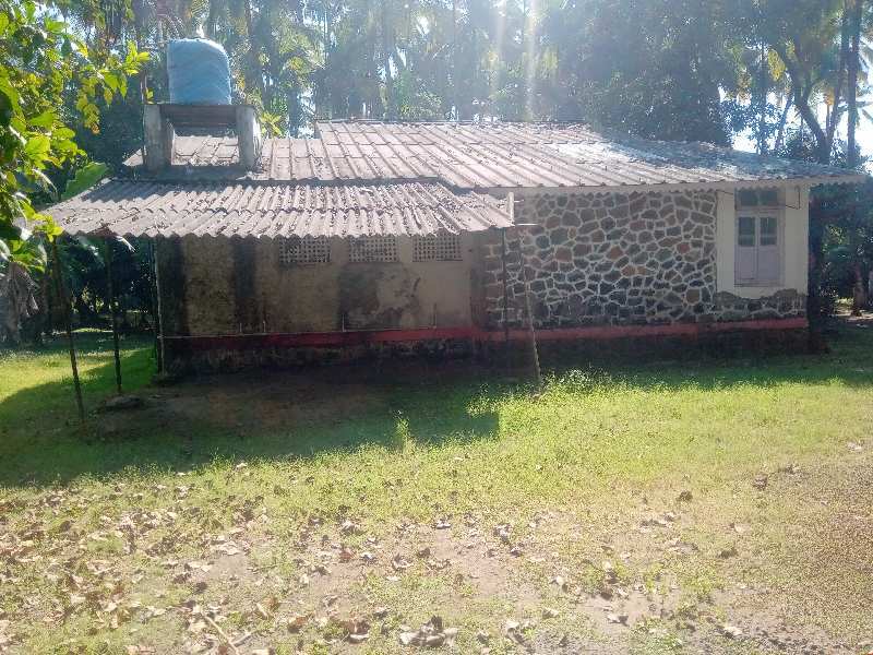 2 BHK Individual Houses / Villas for Sale in Nagaon, Raigad (31000 Sq.ft.)