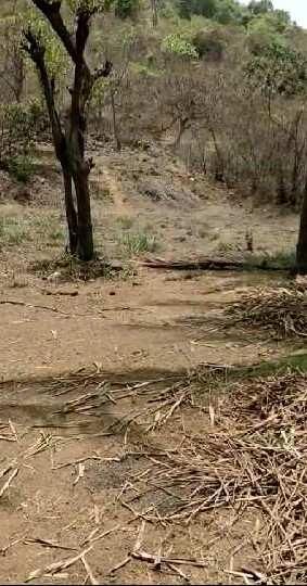 9000 Sq.ft. Residential Plot for Sale in Alibag, Raigad