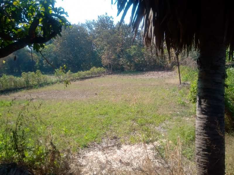 Residential Plot for Sale in Nagaon, Raigad (9000 Sq.ft.)