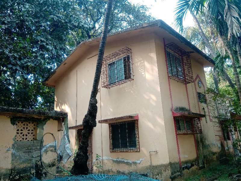 2 BHK Individual Houses / Villas for Sale in Nagaon, Raigad (12 Guntha)