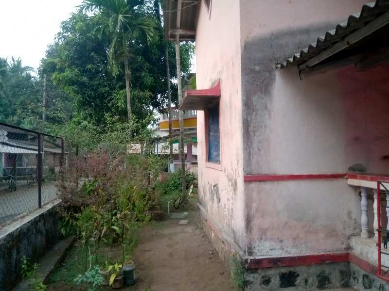 2 BHK Individual Houses / Villas for Sale in Nagaon, Raigad (7 Guntha)