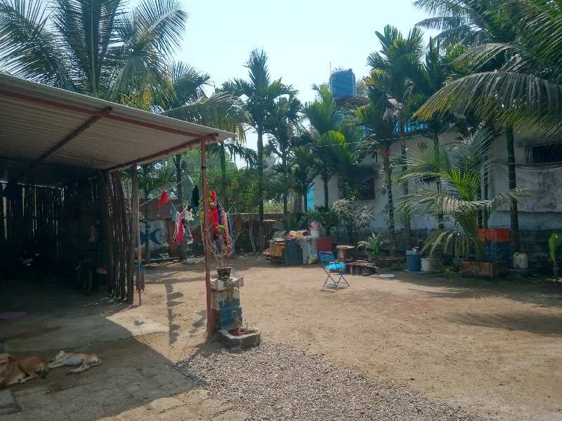 1 BHK Individual Houses / Villas for Sale in Alibag, Raigad (4 Guntha)