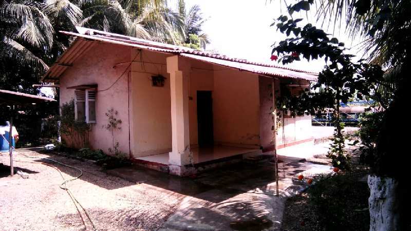 1 BHK Individual Houses / Villas for Sale in Alibag, Raigad (3 Guntha)
