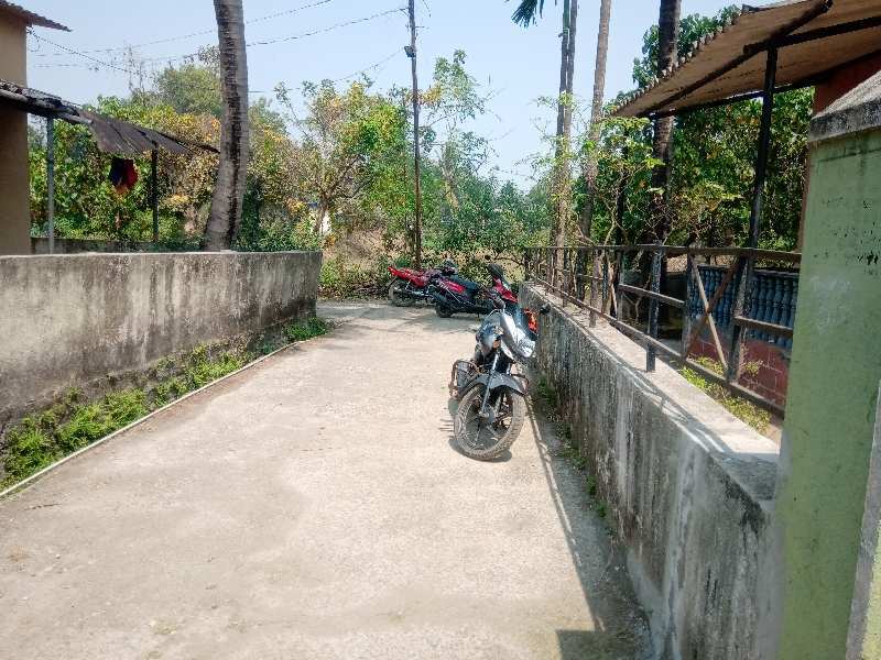 2 BHK Individual Houses / Villas for Sale in Alibag, Raigad (3 Guntha)