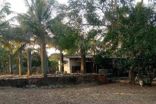 2 BHK Farm House for Sale in Murud, Raigad (40 Guntha)