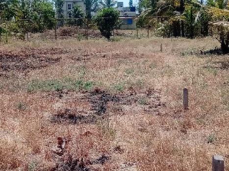 10 Guntha Residential Plot for Sale in Alibag, Raigad