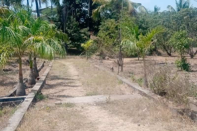 1 BHK Farm House for Sale in Alibag, Raigad (40 Guntha)